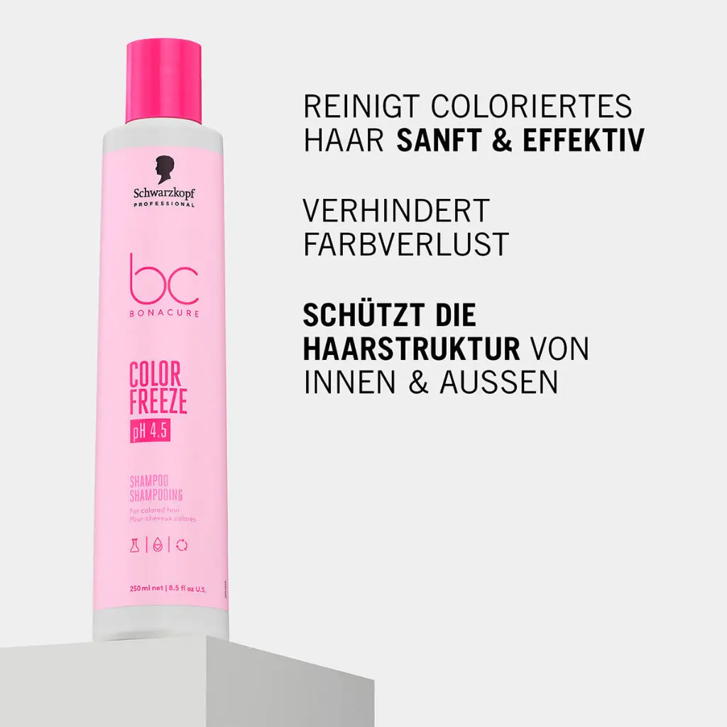 bc 2.webp
