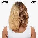 Untitled design.webp