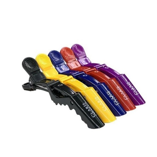 [M.15905.904] Claris Farbige Haarklammern 5stk