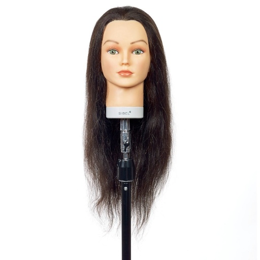 [M.13326.875] SIBEL JENNY TRAINING HEAD D.BROWN